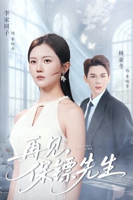 再见保镖先生 保镖先生我不要你了