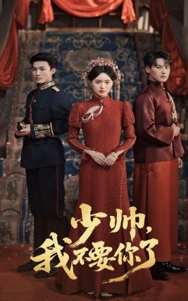 少帅我不要你了