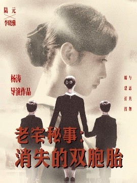 老宅秘事消失的双胞胎 消失的孩子