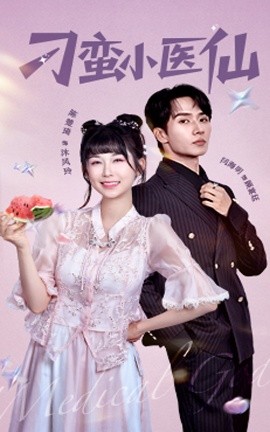 刁蛮小医仙